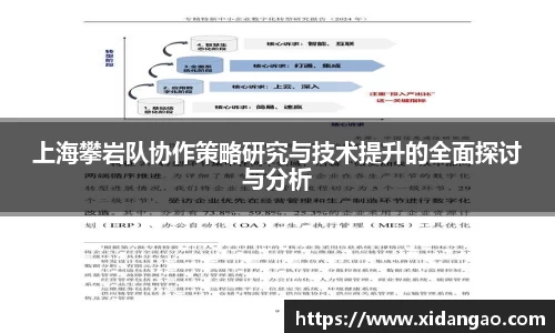 上海攀岩队协作策略研究与技术提升的全面探讨与分析