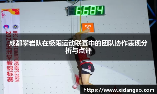 成都攀岩队在极限运动联赛中的团队协作表现分析与点评